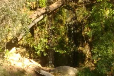 Lower pool (Camp El Tesoro)