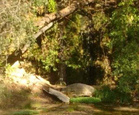 Lower pool (Camp El Tesoro)