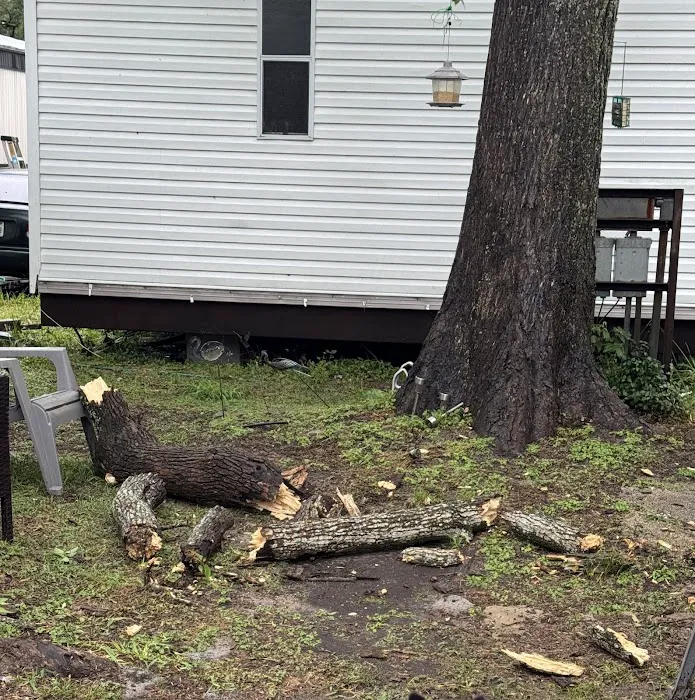 King's Row Manufactured Home 6
