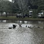 Heights RV Park
