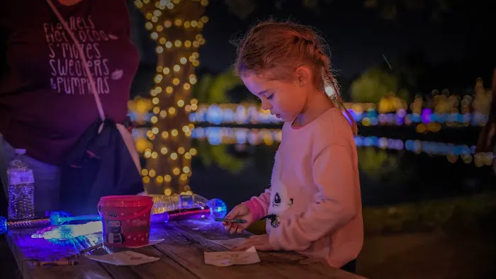 The Christmas Train 6
