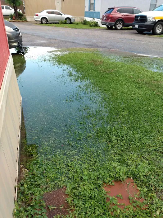Pearland Heights 3