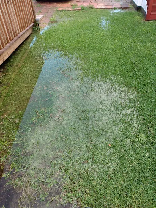 Pearland Heights 6