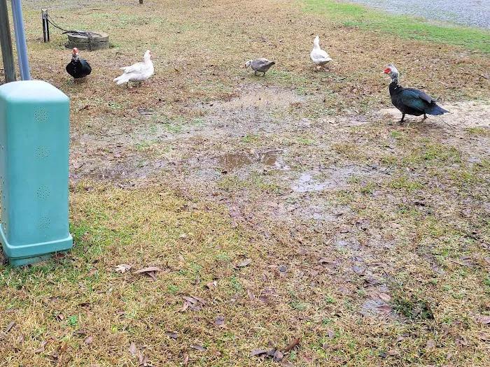 Country Side RV Park 2