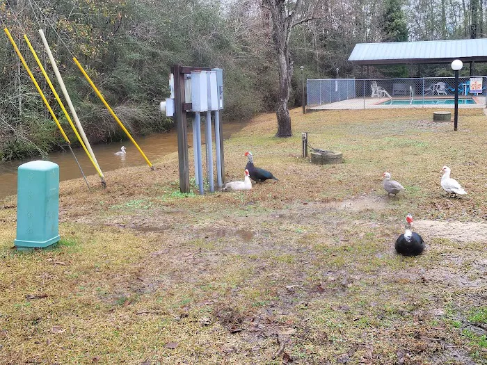 Country Side RV Park 3