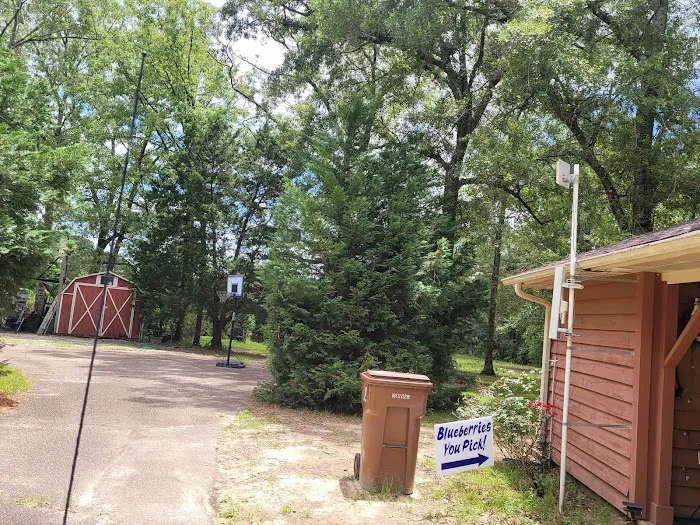 Dabbs Woodland Farm RV Park & Campground 2