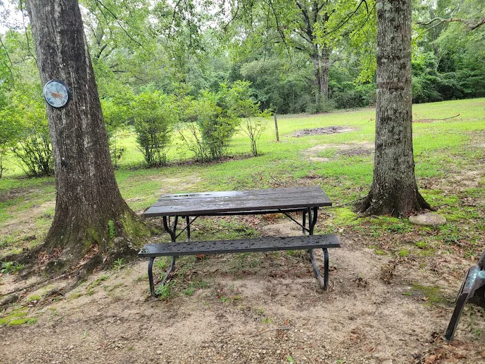 Dabbs Woodland Farm RV Park & Campground 5