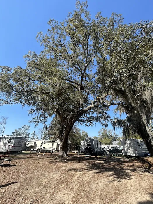Baywood RV Park 7