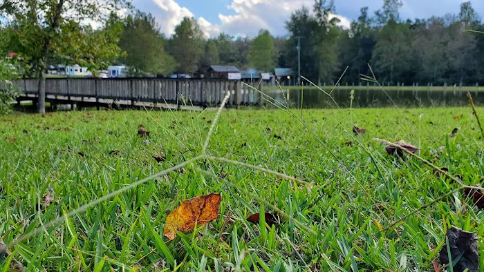 Diamond Lake RV Park 5