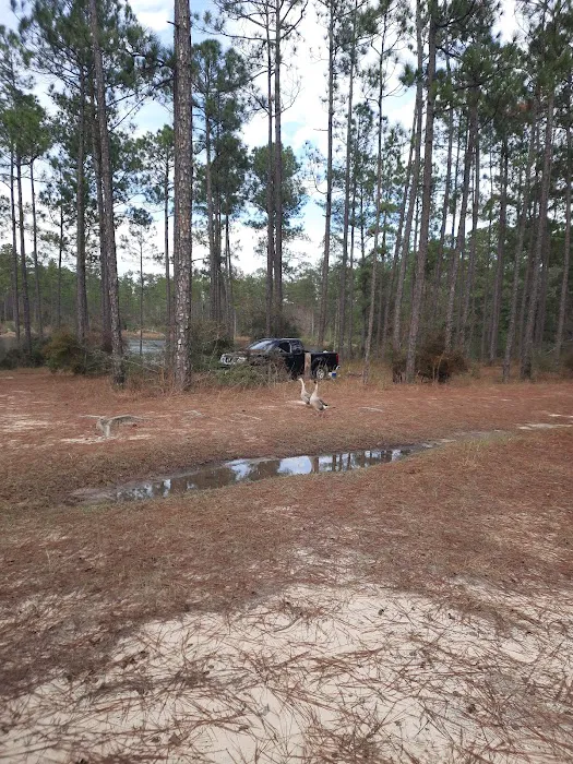 Pow Camp Recreation Area 1