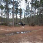 Pow Camp Recreation Area