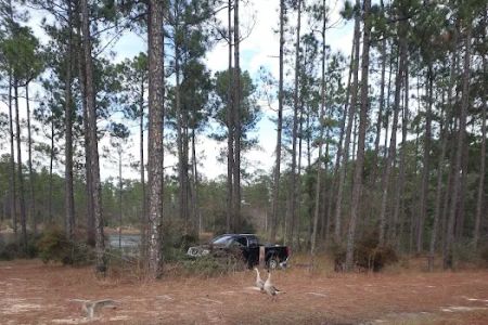 Pow Camp Recreation Area