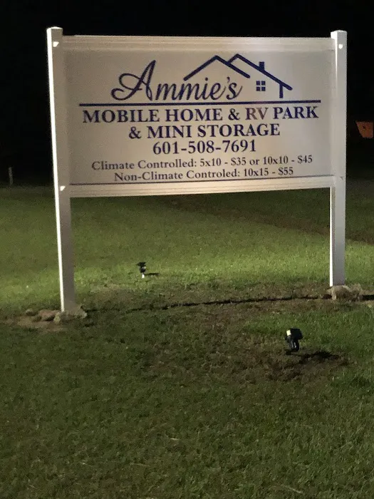 Ammie's Mobile Home ,RV Park & Mini Storage 2