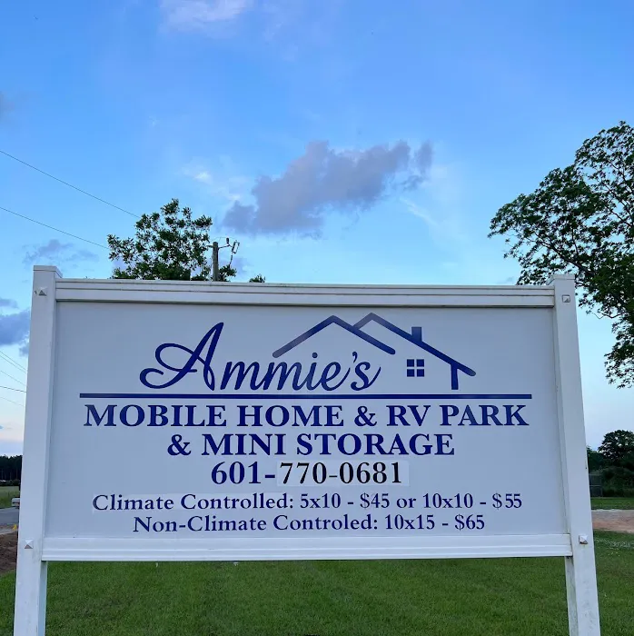 Ammie's Mobile Home ,RV Park & Mini Storage 3