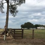 Gerhardt RV Park