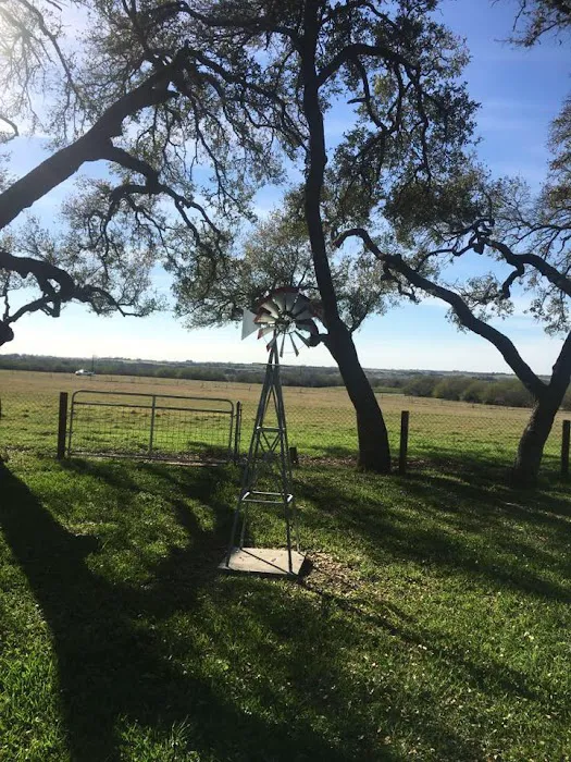 Gerhardt RV Park 8