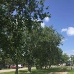Flag City RV & Mobile Home Village