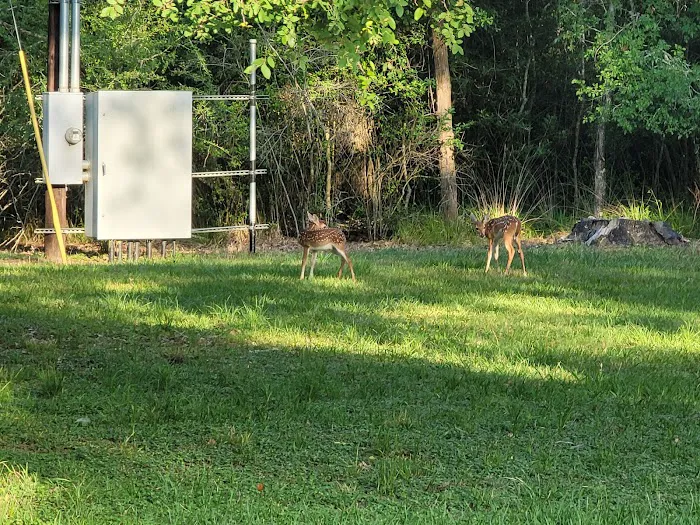 Texana Park and Campground 5