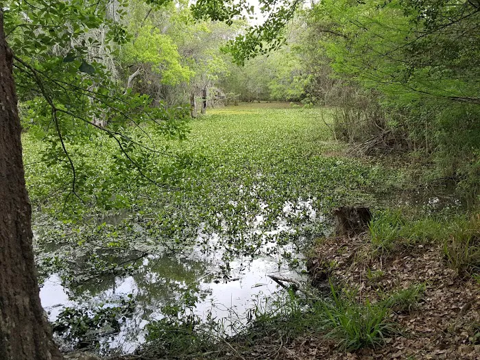 Texana Park and Campground 8