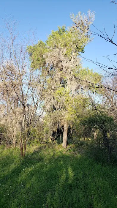 Victoria RV Park (River Park) 9