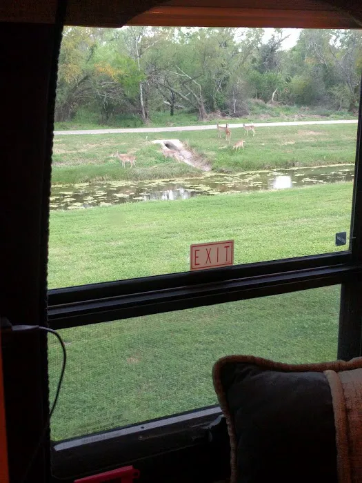 Victoria RV Park (River Park) 6
