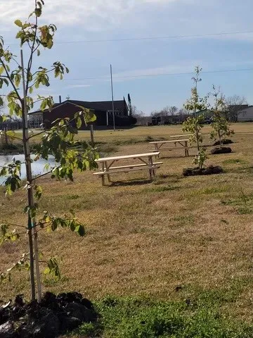 Bastrop Bayou RV Park 9