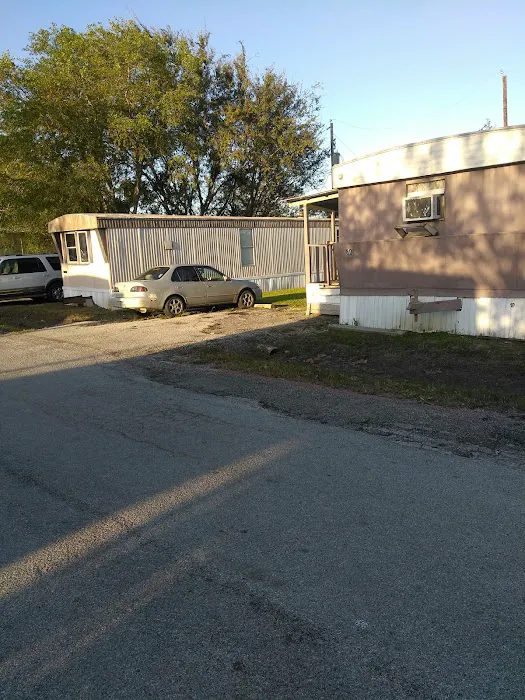 Village at Alvin 9