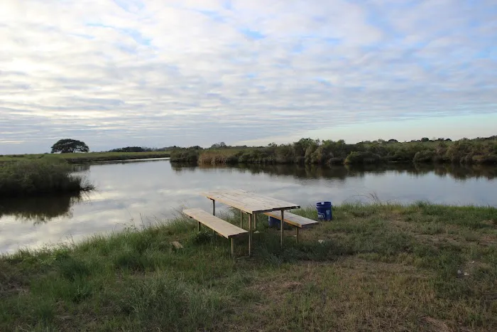 Dolphin Cove RV Park 4
