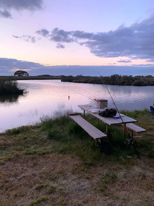Dolphin Cove RV Park 7