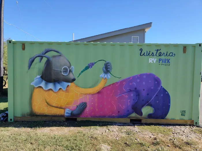 Wisteria RV Park on FM812 5