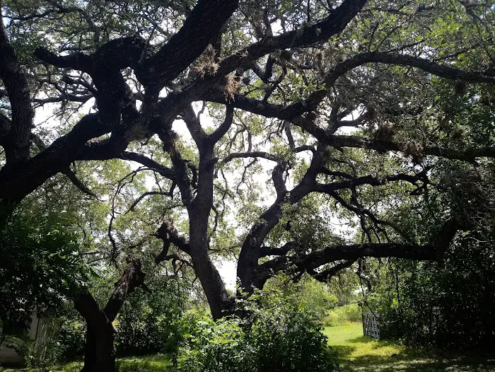 Dusty Oaks RV Park 1