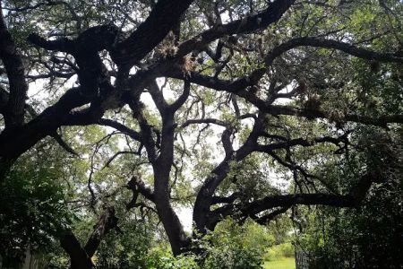 Dusty Oaks RV Park