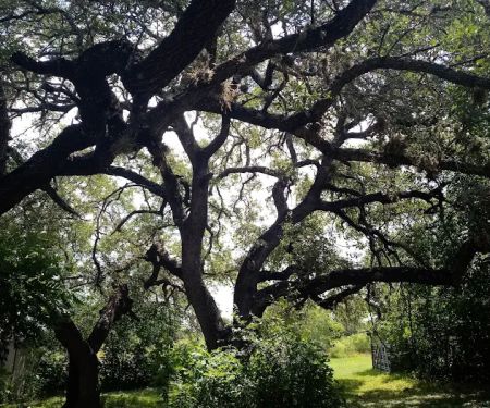 Dusty Oaks RV Park