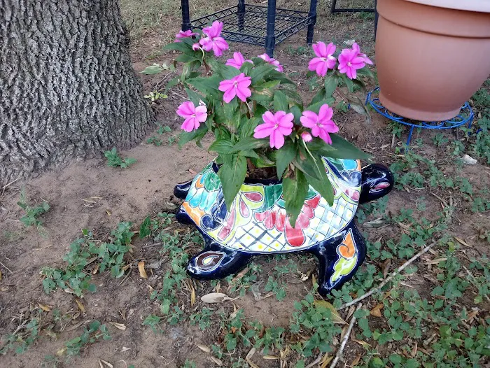 Dusty Oaks RV Park 6