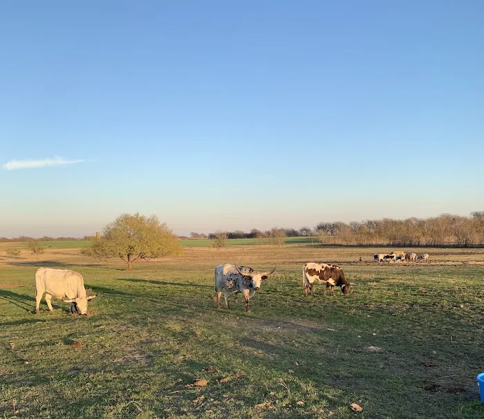 Taylor Blackland Farms RV Park 1