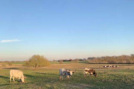 Taylor Blackland Farms RV Park