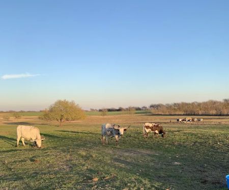 Taylor Blackland Farms RV Park