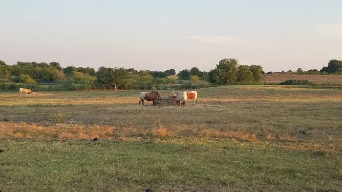 Taylor Blackland Farms RV Park 7