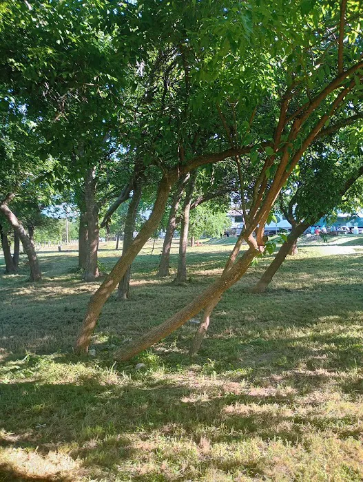 Stout RV Parks Inc 4