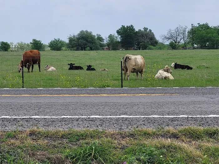 Central Texas RV Parks 2