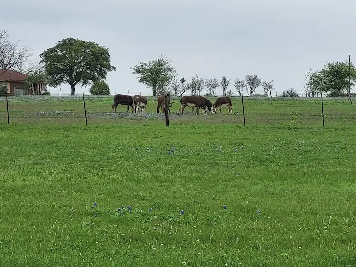 Central Texas RV Parks 5