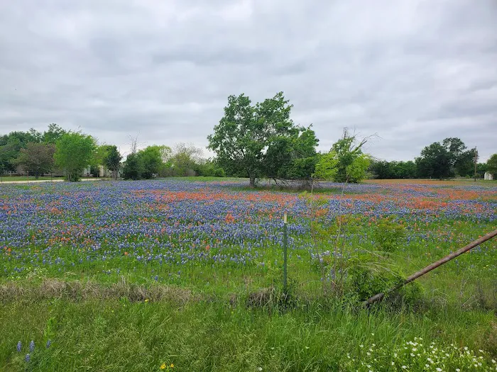 East View RV Ranch 4