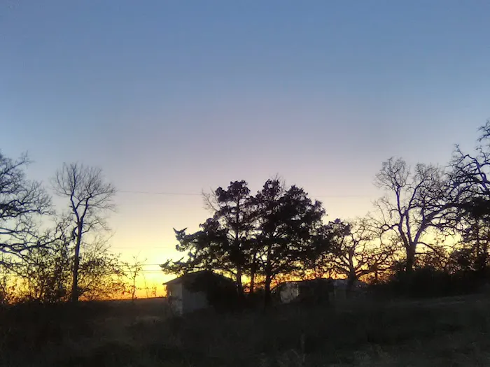 Texas Music Ranch 5
