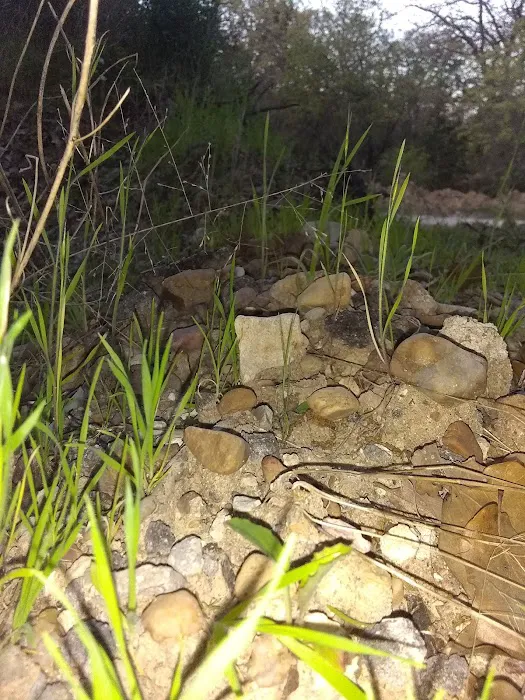 Texas Music Ranch 7