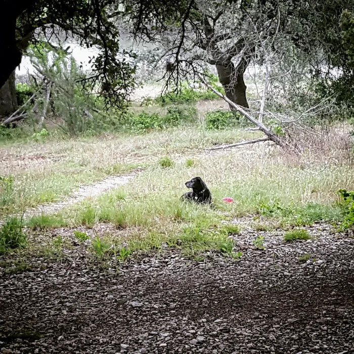 Cedar Hollow Camp 3