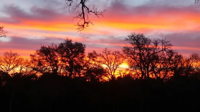 Riverside Oaks RV Ranch 2