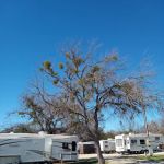 Thorp Spring RV Park