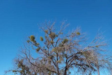 Thorp Spring RV Park