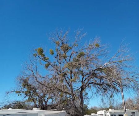 Thorp Spring RV Park