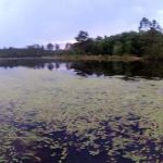 LakeView RV Resort